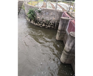 物聯(lián)網(wǎng)泵站自動(dòng)化